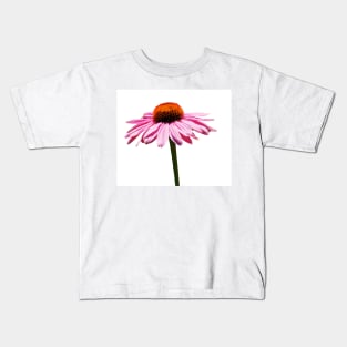 Echinacea Purpurea on White Background Kids T-Shirt